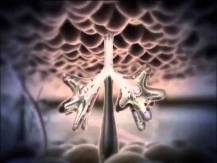Embedded thumbnail