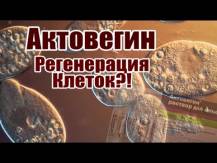 Embedded thumbnail