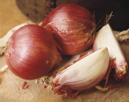 Лук
