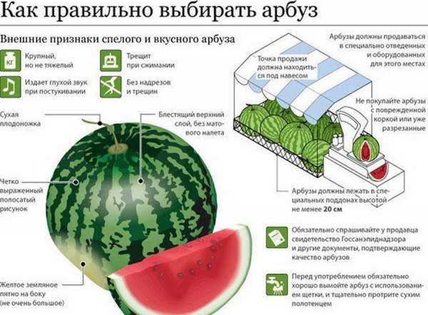 Правила выбора арбуза
