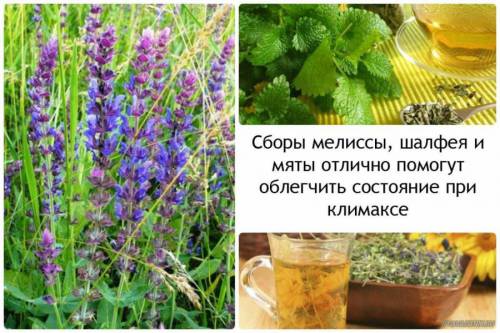 Травяные чаи